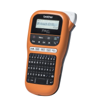 ROTULADORA BROTHER P-TOUCH PT-E110VP NARANJA