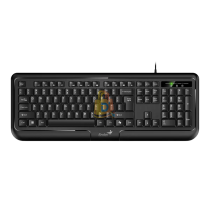TECLADO GENIUS KB-118 USB NEGRO