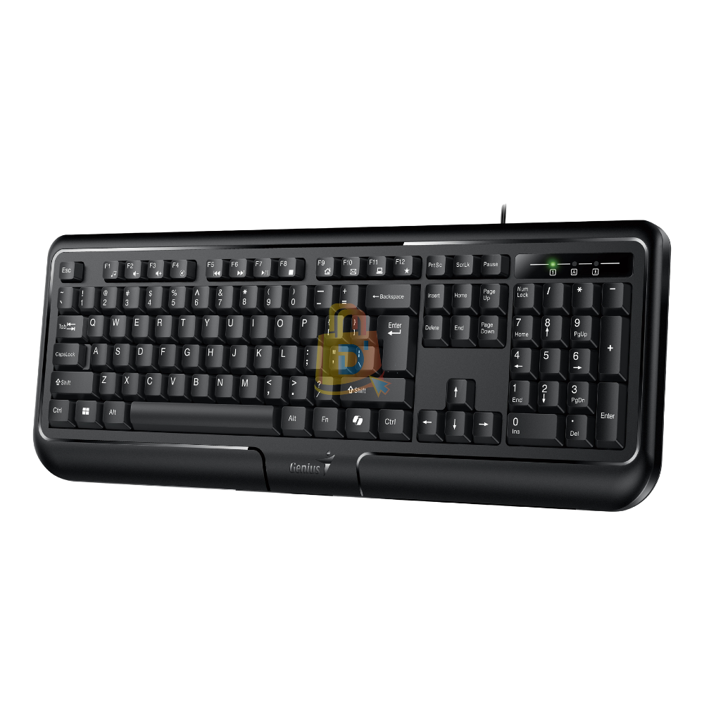 TECLADO GENIUS KB-118 USB NEGRO